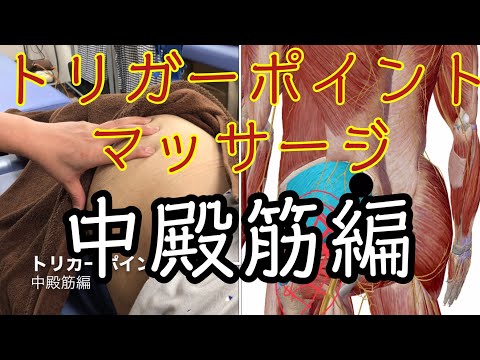 トリガーポイントマッサージ!中殿筋編、股関節の痛み、腰痛に