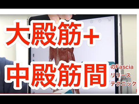 膝痛　ストレッチ　マッサージ　藤井の膝が痛い? 大殿筋+中殿筋間のFasciaリリーステクニック　Knee hurts? Maotold muscle