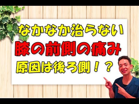 なかなか治らない膝前側の痛みの原因は膝の裏！？