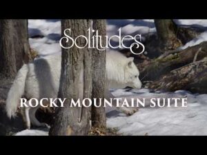 Dan Gibson’s Solitudes – Winter's Wolves | Rocky Mountain Suite