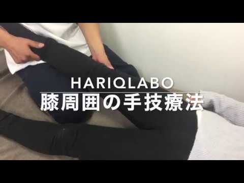 【指導用】膝周囲の手技療法