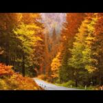 Autumn Scenery & Fall Foliage, Peaceful Soothing Instrumental Music, "Canadian Autumn" by Tim Janis