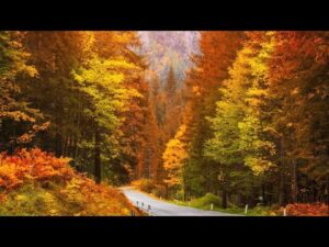 Autumn Scenery & Fall Foliage, Peaceful Soothing Instrumental Music, "Canadian Autumn" by Tim Janis