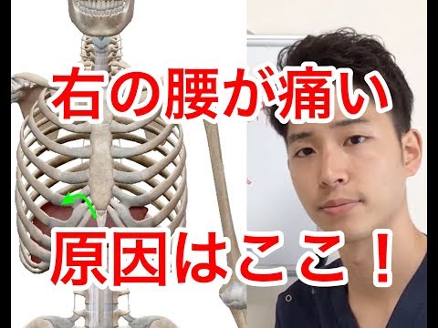 【倉敷 腰痛】右の腰が痛い　原因