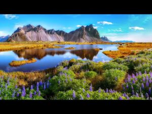 Beautiful Relaxing Music, Peaceful Soothing Instrumental Piano Music, "Sacred Earth" by Tim Janis
