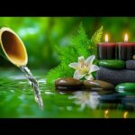 Relaxing Music for Stress Relief 🌿 Soothing Piano + Nature Sound, Calm Anxiety & Depression, Spa BGM