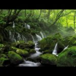 Beautiful Relaxing Music – Piano Music, Positive Energy, Morning Music, Study and Work Reduce Stress