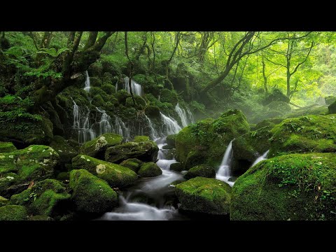 Beautiful Relaxing Music – Piano Music, Positive Energy, Morning Music, Study and Work Reduce Stress