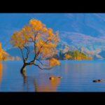 Beautiful Relaxing Hymns, Peaceful Instrumental Music, "Autumn Sunlit Morning Sunrise" By Tim Janis