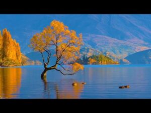 Beautiful Relaxing Hymns, Peaceful Instrumental Music, "Autumn Sunlit Morning Sunrise" By Tim Janis