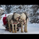 Beautiful Relaxing Music, Peaceful Soothing Instrumental Music, "Cozy Winter in Vermont"by Tim Janis