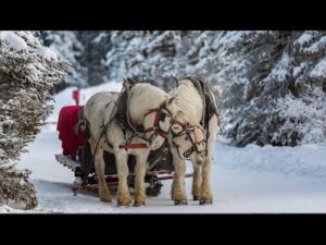 Beautiful Relaxing Music, Peaceful Soothing Instrumental Music, "Cozy Winter in Vermont"by Tim Janis