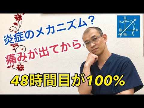 ギックリ腰の炎症メカニズム４８時間目が痛み１００％！【渋谷区恵比寿・鍼灸・整体・マッサージ・鍼灸院】