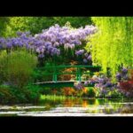 Beautiful Relaxing Music, Peaceful Soothing Music, "Wilderness of Peace" by Tim Janis