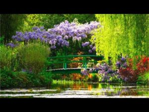 Beautiful Relaxing Music, Peaceful Soothing Music, "Wilderness of Peace" by Tim Janis