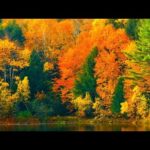 Beautiful Relaxing Music, Peaceful Soothing Instrumental Music, "Autumn Serenade" By Tim Janis
