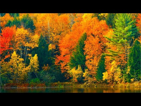Beautiful Relaxing Music, Peaceful Soothing Instrumental Music, "Autumn Serenade" By Tim Janis