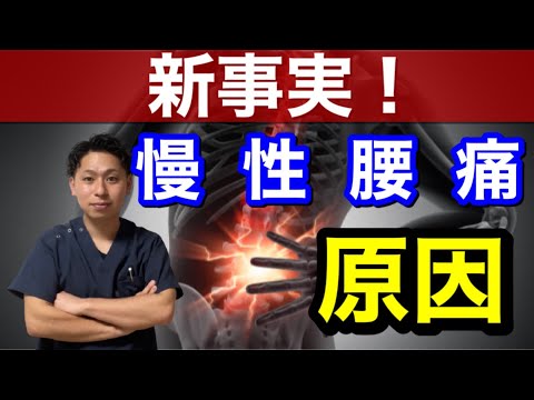 【新事実】慢性腰痛の原因を教えます！
