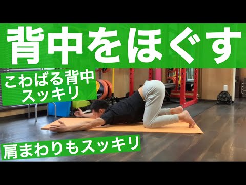 ガチガチに固まった背中をゆるめる！肩や腰までスッキリするヨガ‼︎