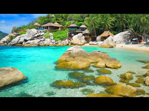 Morning Relaxing Music – Bird Sounds, Ocean Waves Sound, Stress Relief Music,Sleep, Meditation Music