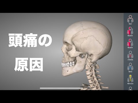 頭痛の原因は場所によって違う！それぞれの原因を解説！