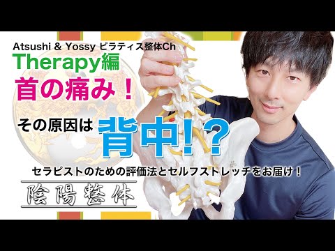 【首の痛み】の原因は背中の歪み？セラピストも使える評価法とセルフストレッチをお届けします！陰陽整体