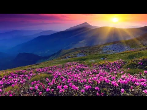 Beautiful Instrumental Christmas Music Peaceful Piano Christmas music Christmas Candle Tim Janis