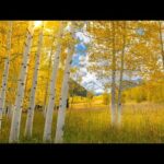 Beautiful Relaxing Music, Peaceful Soothing Instrumental Music, "Colorado Aspen Autumn" by Tim Janis
