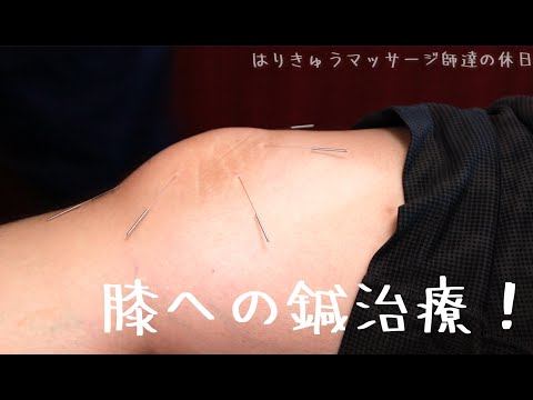 膝に対する鍼と指圧治療　【はりきゅうマッサージ研究会】