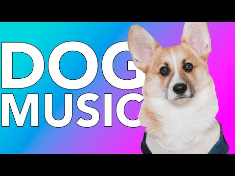 Dog Music! EXPERT MADE Stress Reducing ASMR Music for Anxious Dogs!