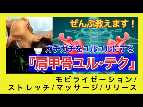 ガチガチをユルユルにする『肩甲骨ユル･テク』ぜんぶ教えます　〜モビライゼーション/ストレッチ/マッサージ/リリース〜