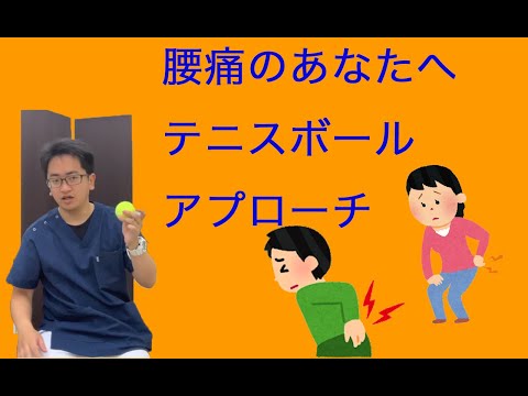 【大和市 腰痛】テニスボールケア　大和市南林間駅東口腰痛専門整体院Honesty–オネスティ–