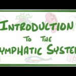 Introduction to the Lymphatic System