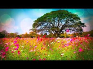 Beautiful Relaxing Music, Peaceful Soothing Music, "Awakening Spring" by Tim Janis