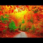 Welcome Autumn, Peaceful Music, Relaxing soothing Music, Instrumental Music by Tim Janis