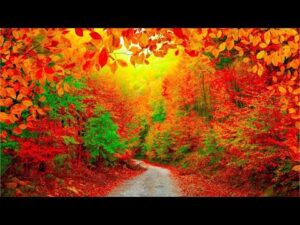 Welcome Autumn, Peaceful Music, Relaxing soothing Music, Instrumental Music by Tim Janis