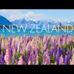 Beautiful Relaxing Music, Peaceful Soothing Instrumental Music, "Dreams of New Zealand" by Tim Janis