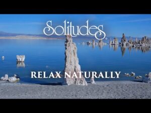 Dan Gibson’s Solitudes – Beauty in Stillness | Relax Naturally