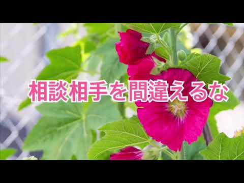 相談相手を間違えるな【全盲の運波セラピスト松島みゆき】