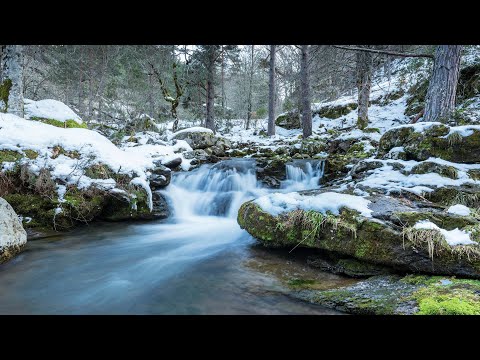 1 Hour Relaxing Music – Beautiful Background Music for Stress Relief, Sleep, Relaxation & Meditation