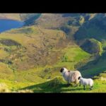 Beautiful Relaxing Hymns, Peaceful  Instrumental Music "The Green Scotland Hills" by Tim Janis
