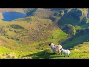 Beautiful Relaxing Hymns, Peaceful  Instrumental Music "The Green Scotland Hills" by Tim Janis