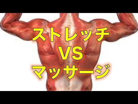【ストレッチ　マッサージ】ストレッチ VS マッサージどっちがいいの？【埼玉県　和光市　腰痛　整体　整体院祐】