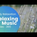 Relaxing Music 366- sleep, meditation, yoga, zen, spa, massage, study and concentration
