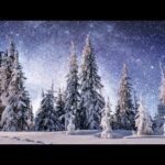 Beautiful Christmas music with Winter Scenery and wildlife, "Quiet Winter Woods: Music by Tim Janis