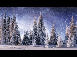 Beautiful Christmas music with Winter Scenery and wildlife, "Quiet Winter Woods: Music by Tim Janis