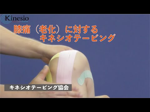 膝の痛み（老化によるもの）・各テープの作用申込みは下記URLから（協会会員専用ページ）https://kinesiotaping.share-wis.com/signup/member