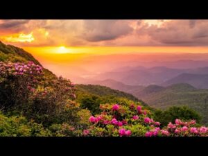 Beautiful Peaceful Music, Relaxing Music, "Appalachian National Scenic Trail" by Tim Janis