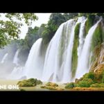 Tropical Waterfall – Camling music in the forest to purify the head 🎵 Stress relief music