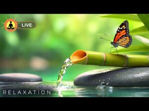 🔴 Relaxing Music 24/7, Sleep Music, Stress Relief Music, Spa, Meditation, Yoga, Zen, Calming Music